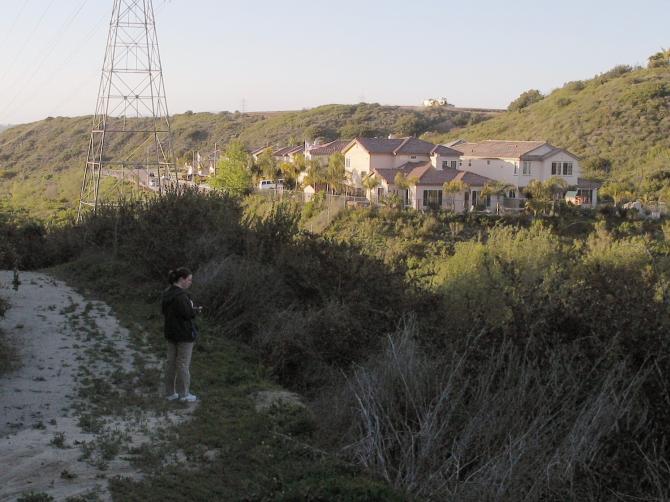 Krissy wondering why there's a car in the ravine.