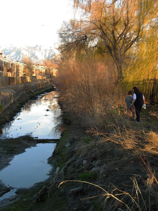 The Stagnant Drainage Canal at Watertight