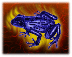 The Blue Frog rises from the ashes like a phoenix